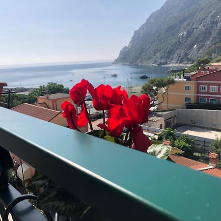 Il Sogno Di Contardi A Affittacamere Monterosso al Mare Extérieur photo